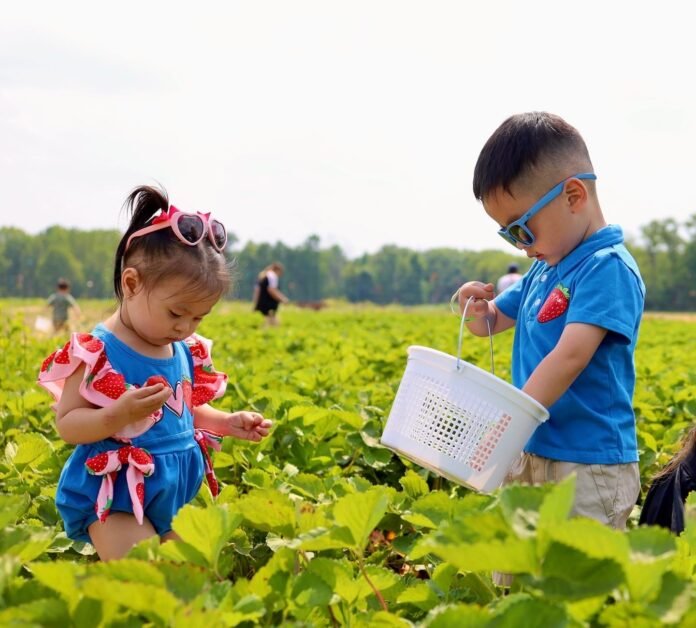 Jazz Festival and More Fun Things To Do this Weekend in New Jersey with Kids