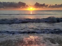 Beach and pool safety tips from a Level 1 Trauma Center – Star News Group