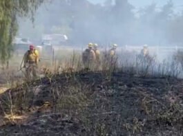 Crews make quick work of brush fire in Ramona