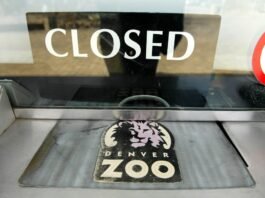 Denver Zoo closing early ahead of planned City Park teen ‘takeover’