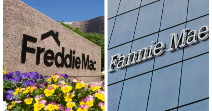 Fannie, Freddie need rules to avoid 'Race to the Bottom,' NHC says