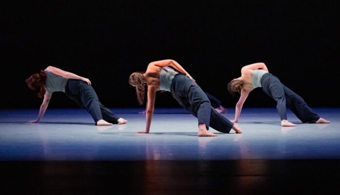 In its first year, Montclair Dance Festival puts together an ambitious and eclectic program