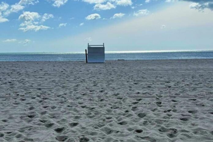 Jersey Shore Report for June 4, 2025