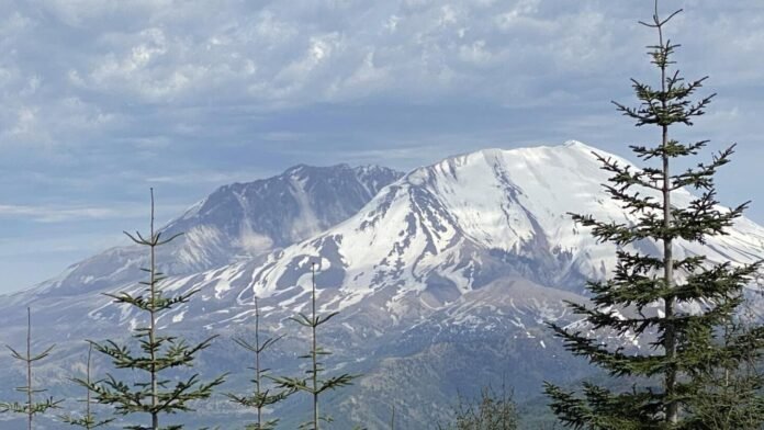 Should irresponsible hikers be forced to pay for their rescue? This sheriff says yes