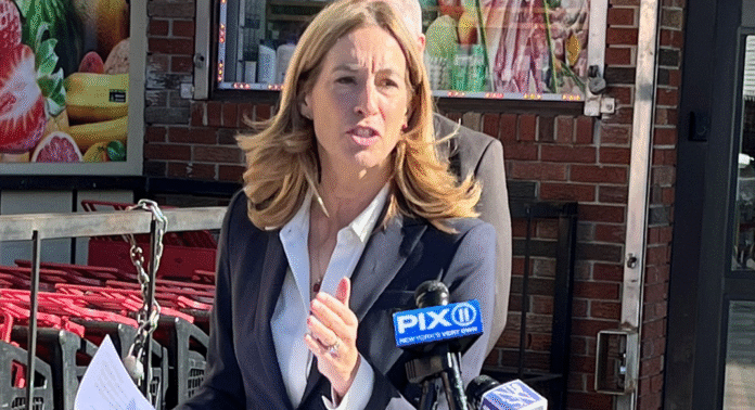 The Mikie Sherrill Campaign - What's Next?