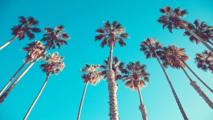Top-producing California agent joins eXp Realty