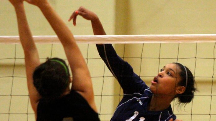 2008 N.J. girls volleyball All-State and top postseason honors: HS historical project