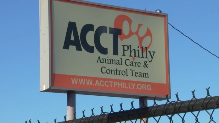 Animal Care & Control Team urgently seeking homes for large dogs – NBC10 Philadelphia