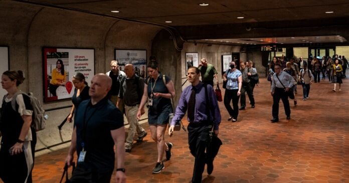 Bond traders await Fed meeting, refunding and jobs report