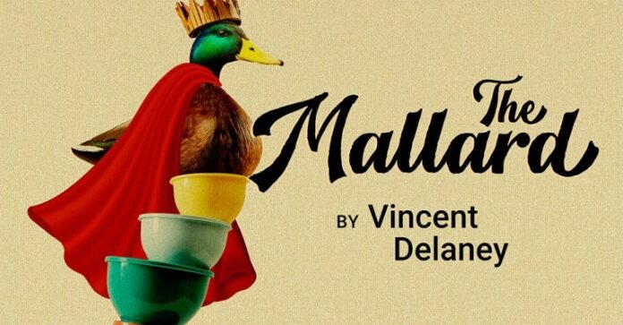 Celebrating 20 Seasons of Premiere Stages with Original Play 'The Mallard'