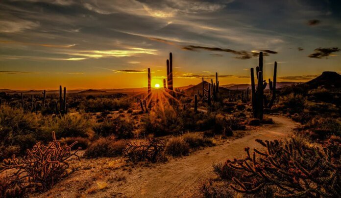 Federal land sales would offer limited housing relief