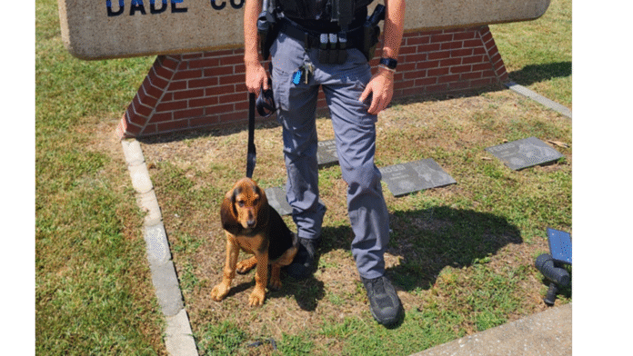 Georgia dog dies after being left in hot cruiser with malfunctioning AC, handler fired