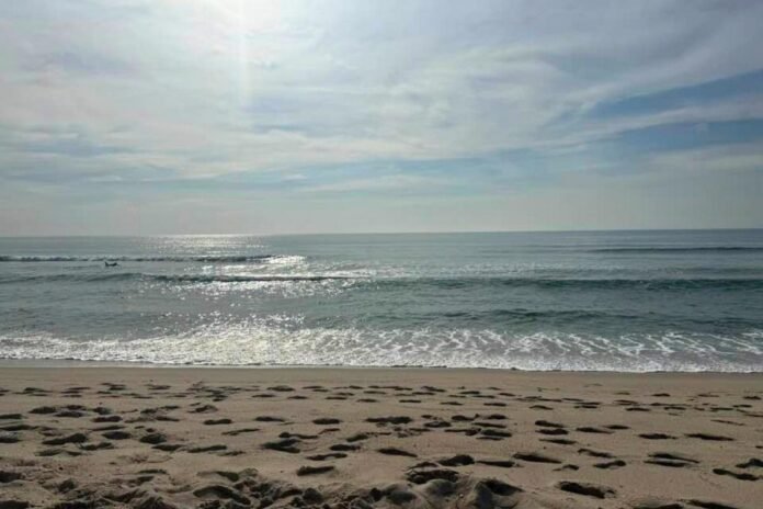 Jersey Shore Report for July 8, 2025