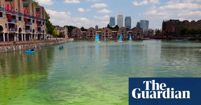 Ministers vow to tackle all forms of water pollution in England and Wales | Environment