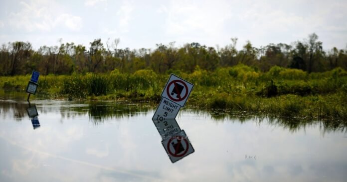 Private flood insurers take on bigger market role: Fitch
