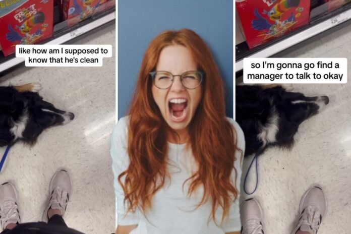 Service Dog In Georgia Target Questioned For Being 'Dirty'