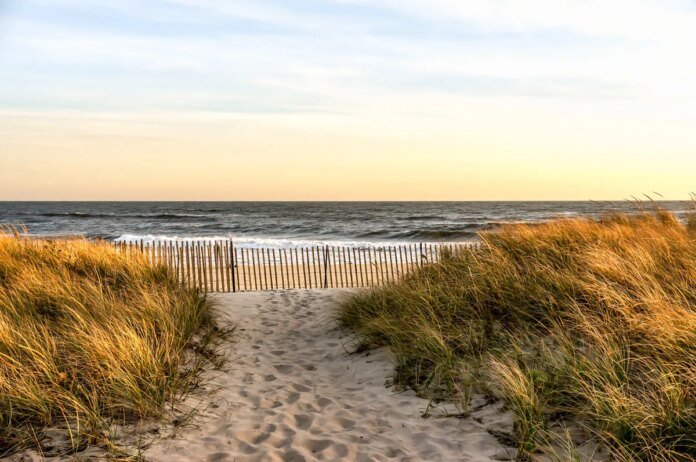 Top Hamptons broker Terry Cohen joins Compass
