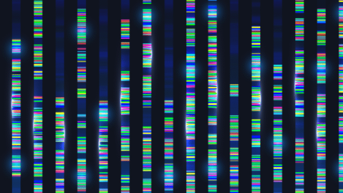 TrueAllele casework validated for interpreting complex DNA mixtures from NGS