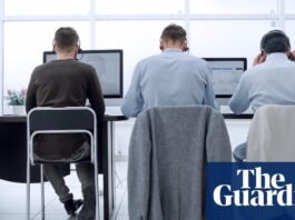 Whitehall’s ambition to cut costs using AI is fraught with risk | Artificial intelligence (AI)