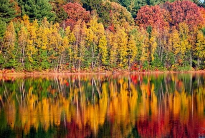Why New York State May See The Most Vibrant Fall In Years