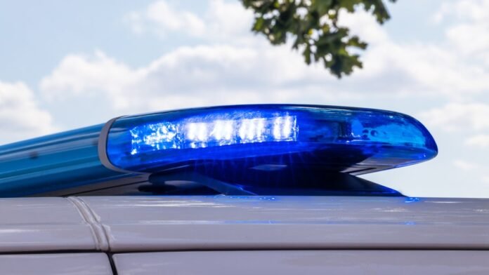 Body found in Delaware River in South Philly on Saturday: Police – NBC10 Philadelphia