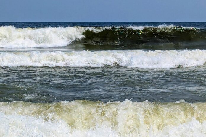 Jersey Shore Report for Aug. 5, 2025